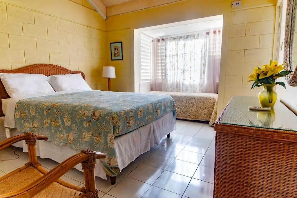 Lovely 2 Bedrooms Apartment Jamaica