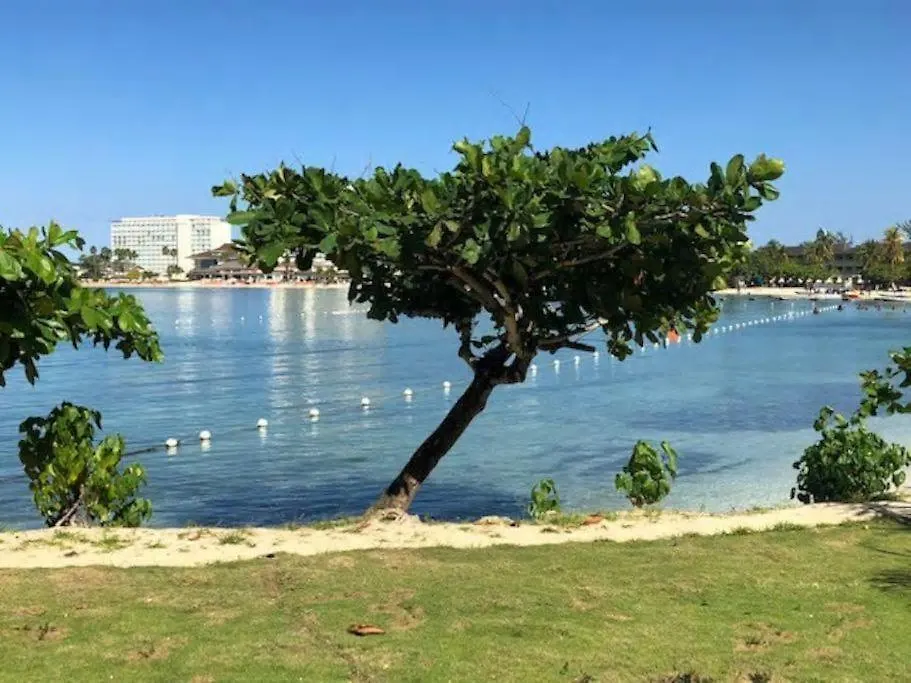 Lovely 2 Bedrooms Apartment 3*, Ocho Rios
